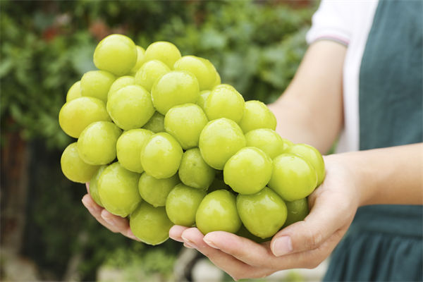 干货分享之情绪资金流复盘