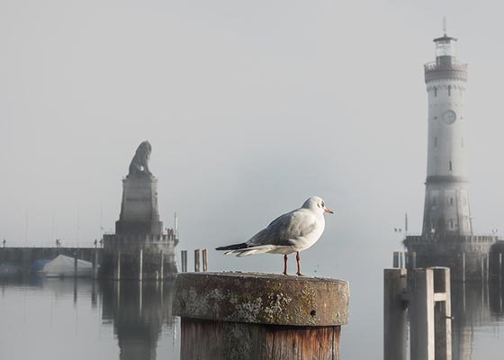 抄底坚决记住“六大形态”,学到就是赚到 抄底坚决记住“六大形态”,学到就是赚到